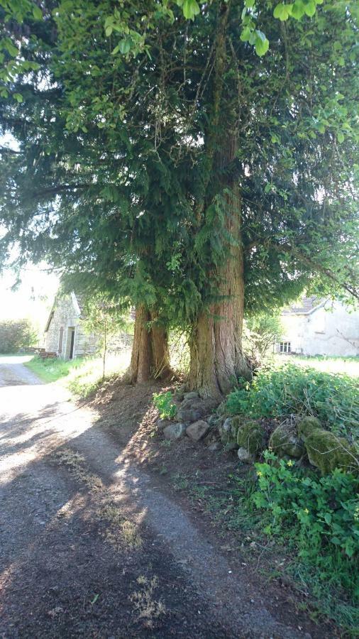 Saint-Bresson Ferme De La Grange Du Bas 빌라 외부 사진